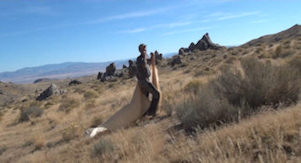 MeToo Finds a friend