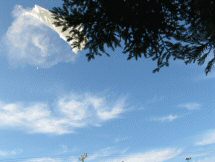Launch 8
