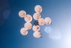 intheair_sm.jpg (8398 bytes)